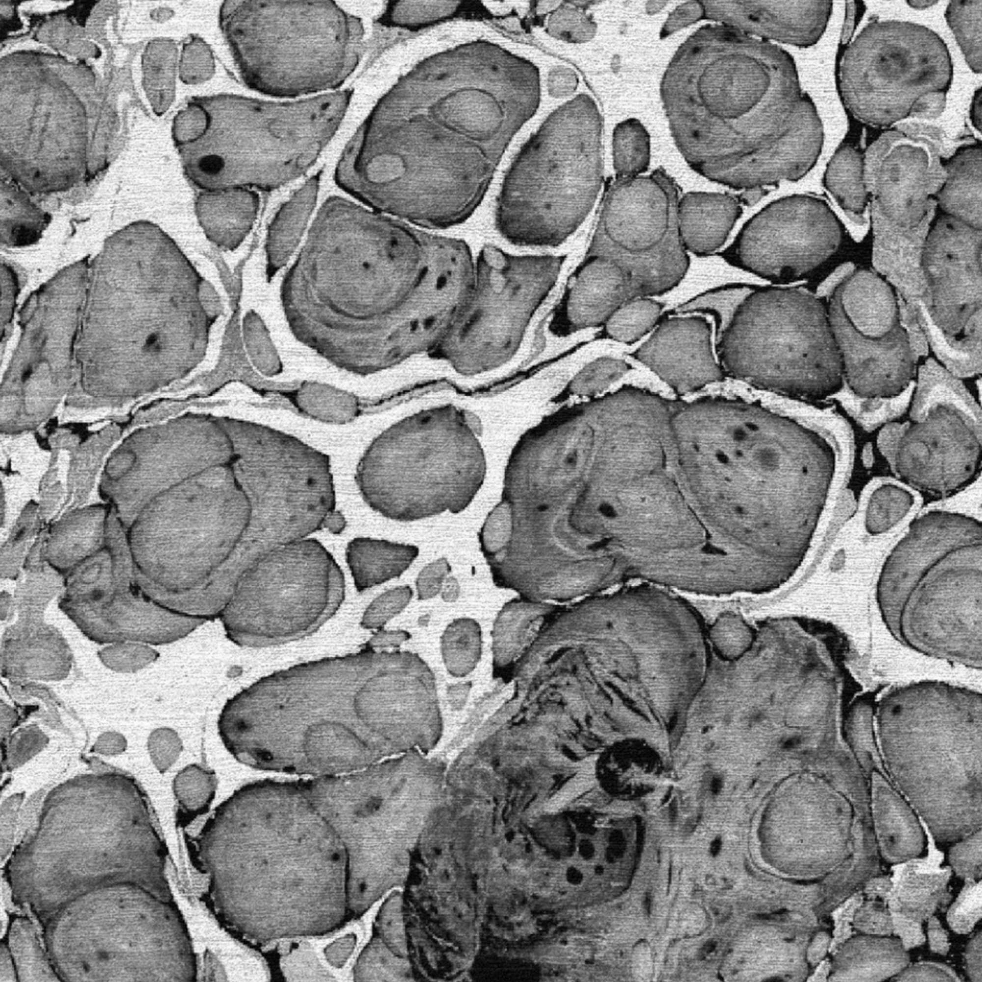 سجادة البتراء - أ - 360x270-2