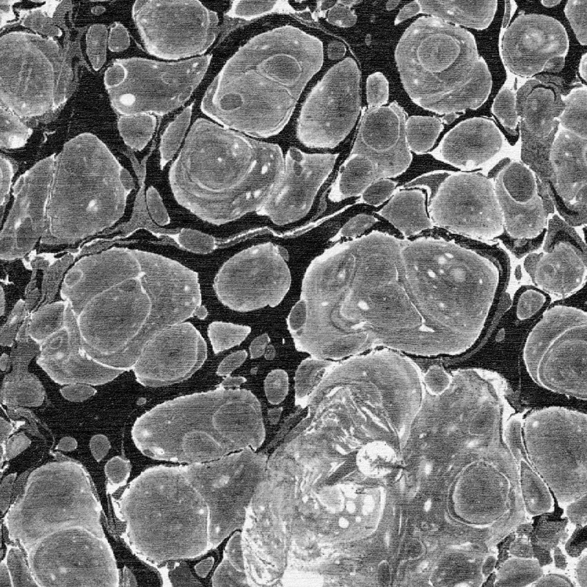 سجادة البتراء - ب - 360x270-2