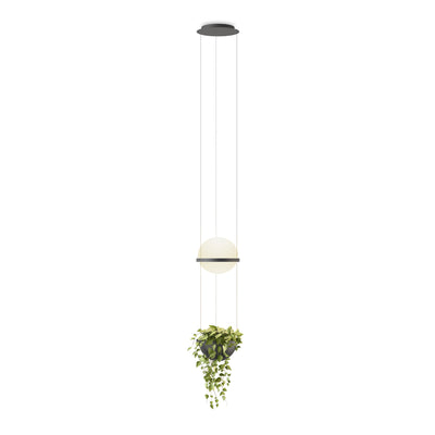 Palma 3724 Pendant Lamp - Graphite