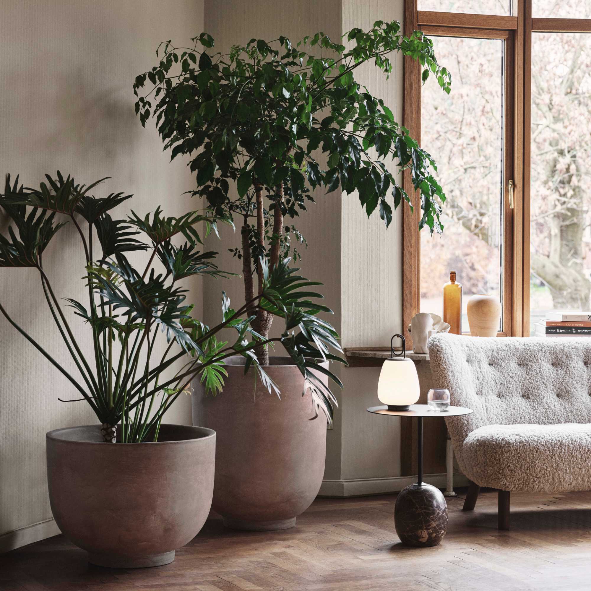 أريكة Little Petra VB2 - خشب البلوط/جلد الغنم ضوء القمر 17 ملم-3