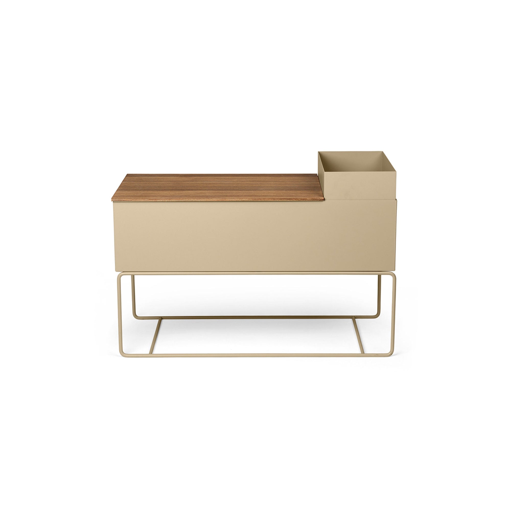 Plant Box Composition - Cashmere