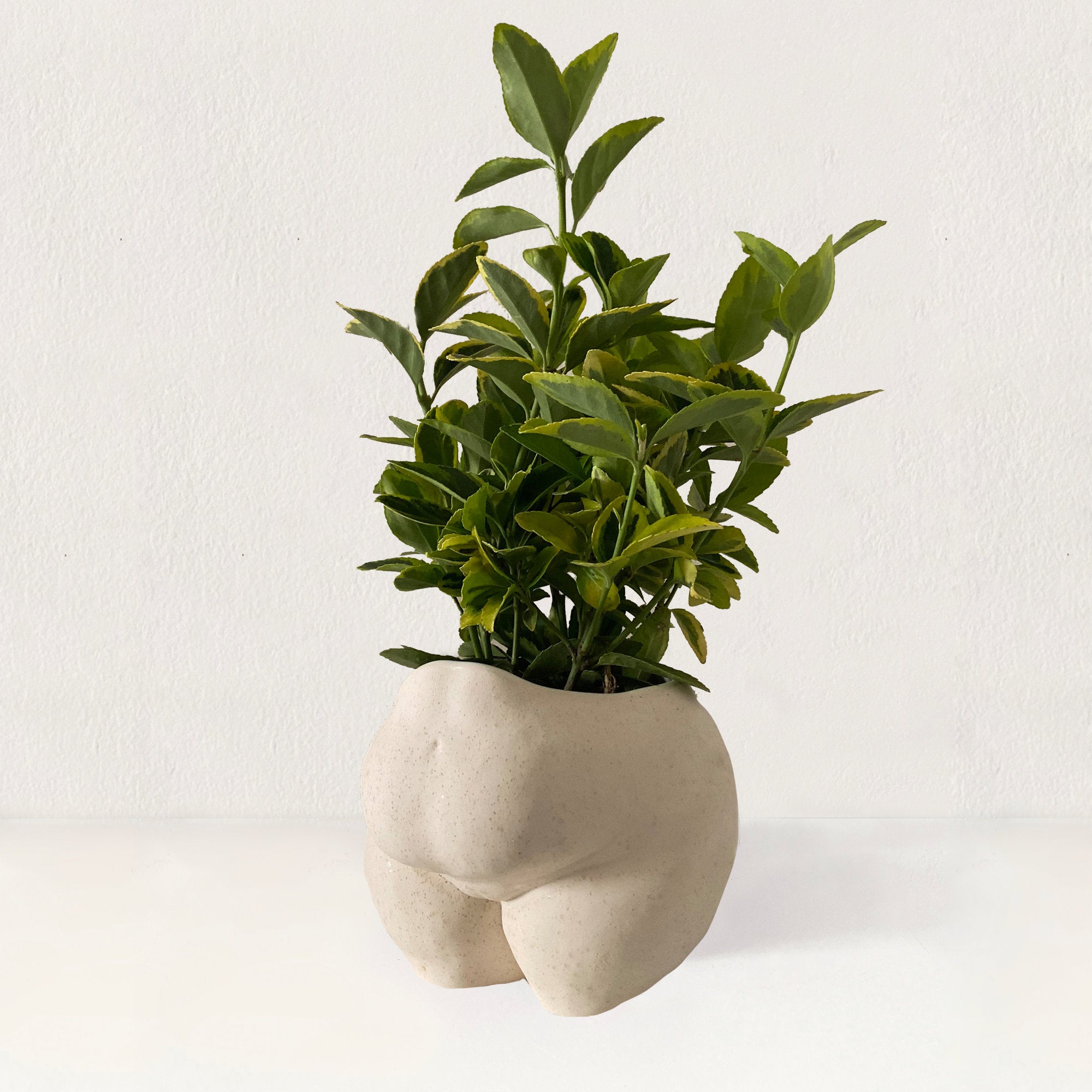 Popotelee Pot - Beige Speckled