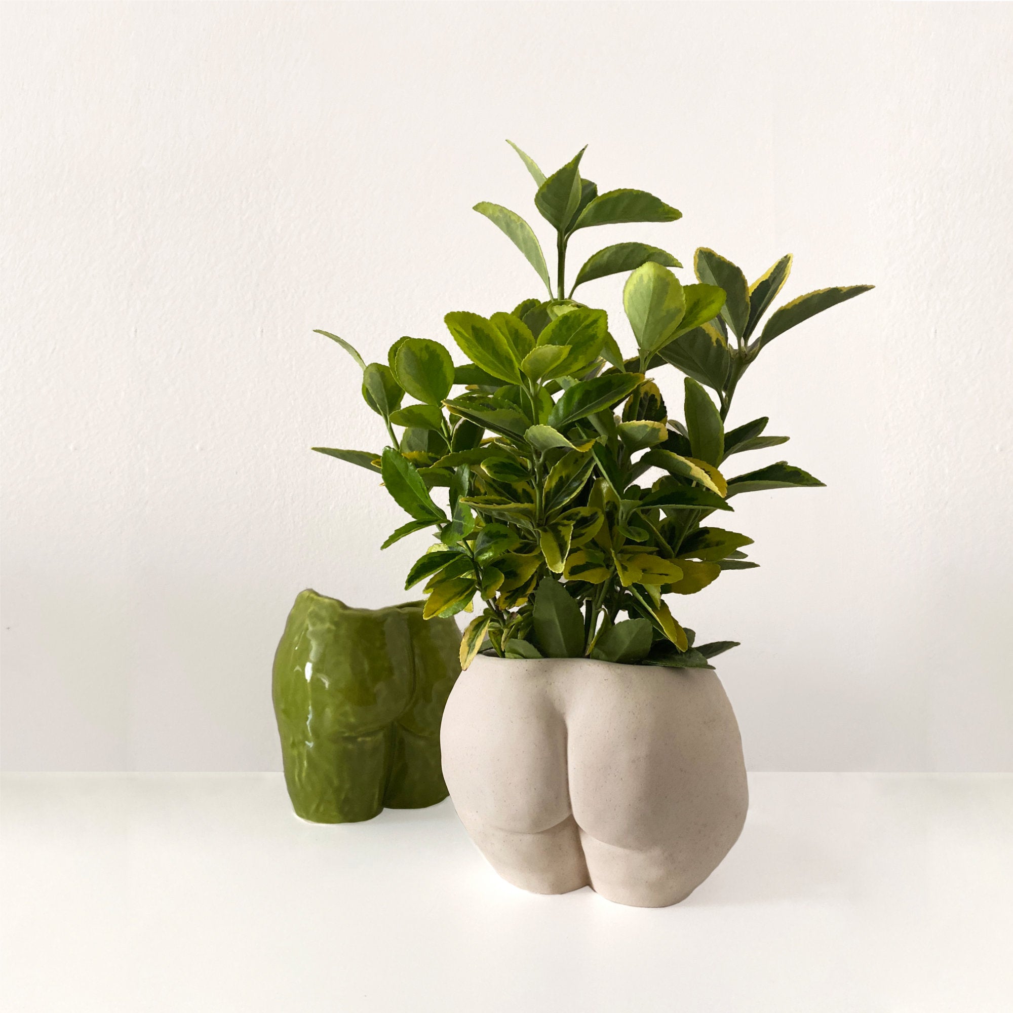 Popotelee Pot - Beige Speckled-5