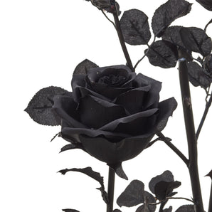 فرع الورد في مزهرية - أسود