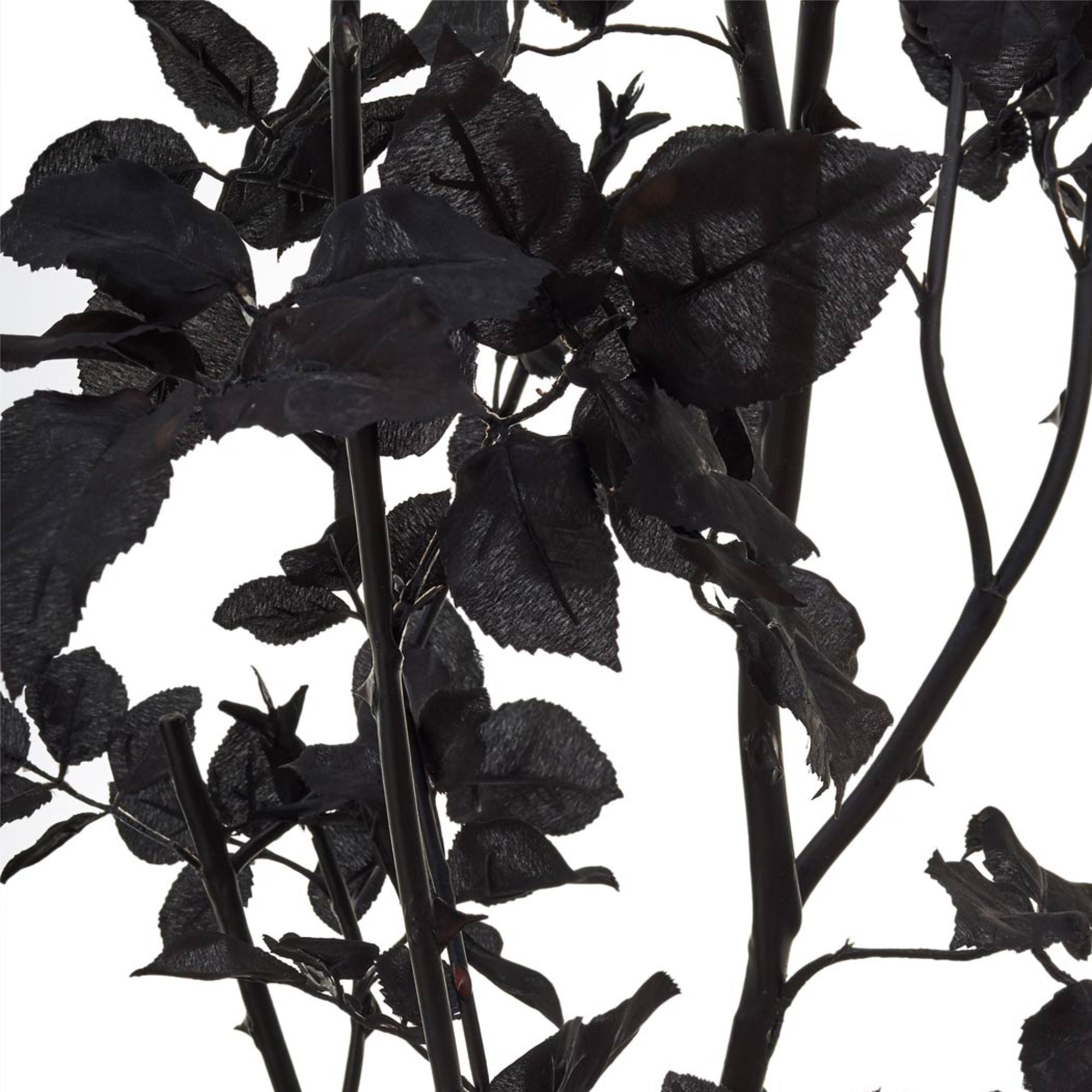 Rose Branch in Vase - Black-3