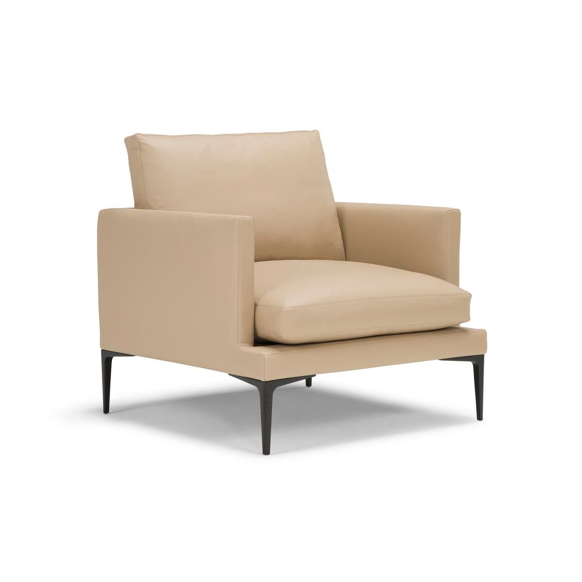 Segno Armchair – 92x88 / Metal (Ral 9005) / Leather (Linea 604)-1