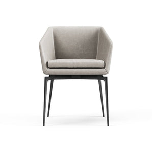 Denise PDN1 Dining Chair - Ecoleather C (2337)